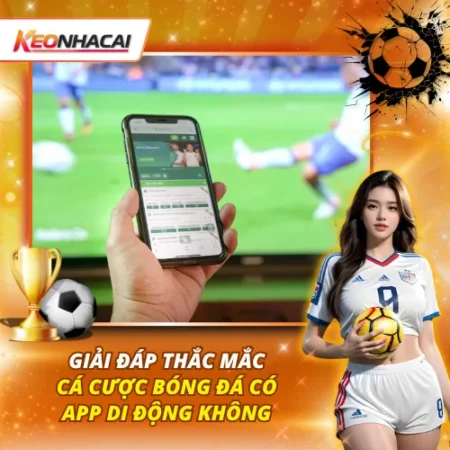 Giải Đáp Thắc Mắc – Cá Cược Bóng Đá Có App Di Động Không