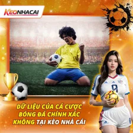 Dữ Liệu Của Cá Cược Bóng Đá Chính Xác Không Tại Kèo Nhà Cái