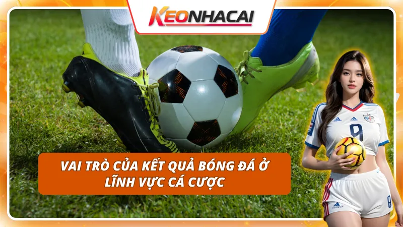 Hiểu đúng kết quả bóng đá giúp nâng cao tỷ lệ thắng cược