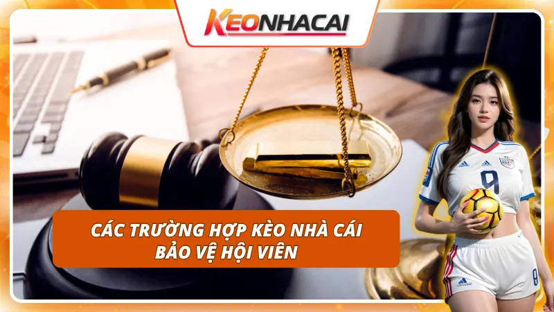 Tình huống không áp dụng miễn trừ trách nhiệm từ website