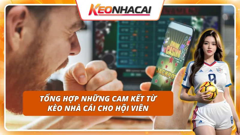 Về chúng tôi - Cam kết thông tin minh bạch và chính xác